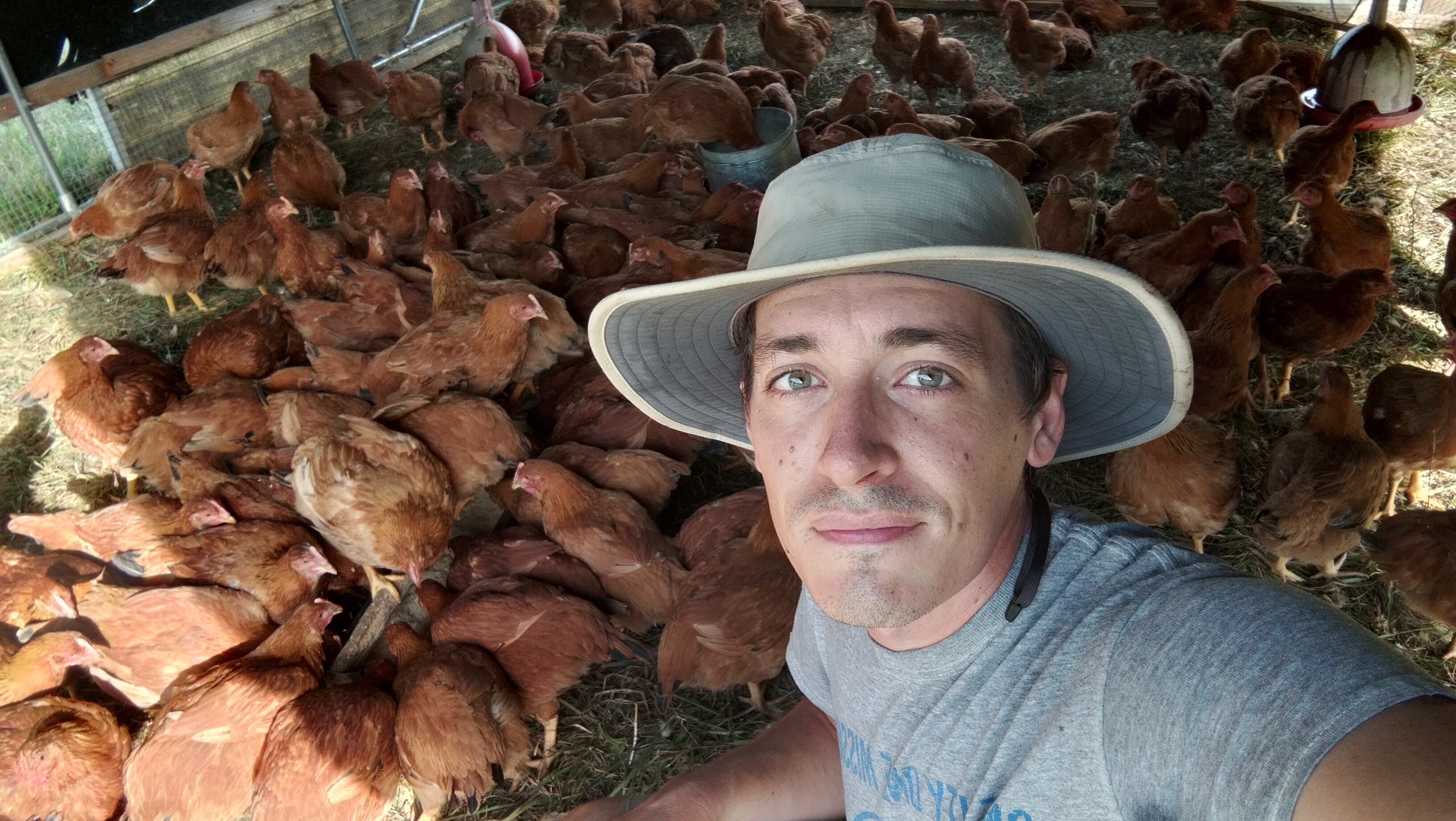 A selfie in the the schooner with chickens all around.