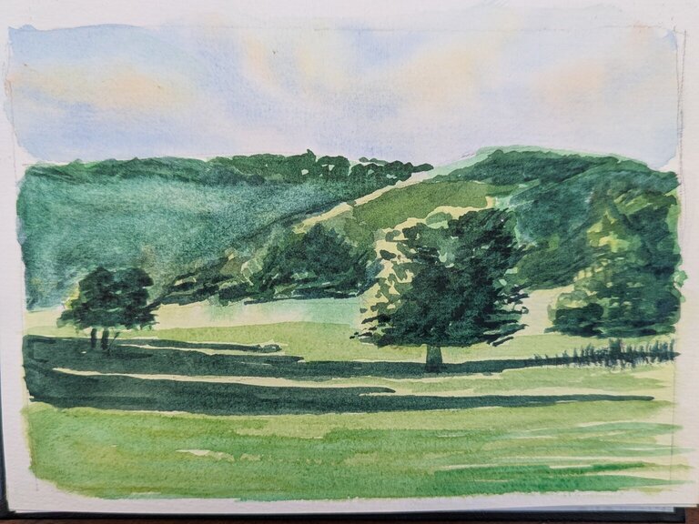 A sunny field with trees in the foreground casting deep shadows to the right.